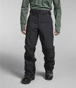 The North Face Men's Freedom Insulated Snow Pants XL