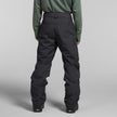 The North Face Men's Freedom Insulated Snow Pants XL