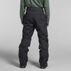 The North Face Men's Freedom Insulated Snow Pants XL