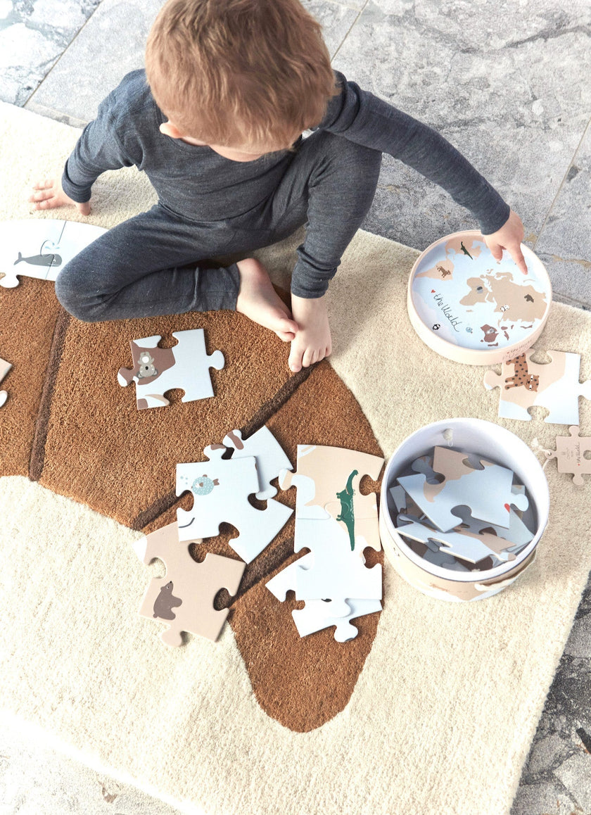 The World Puzzle