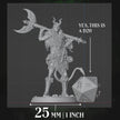 Tiefling Barbarian | Axe | 5e