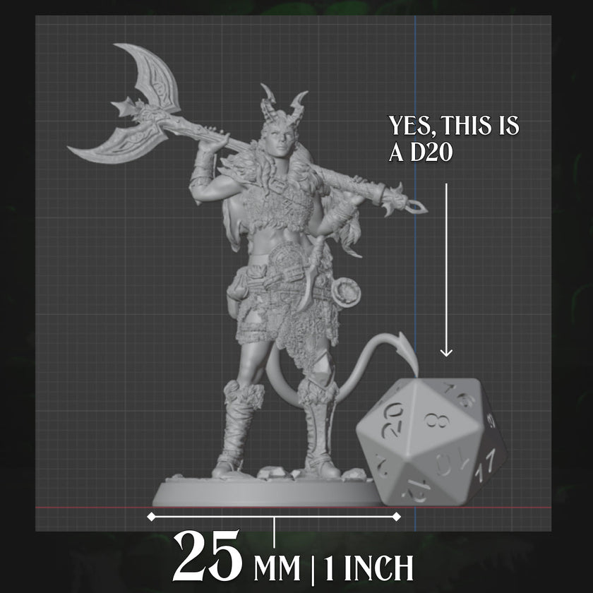 Tiefling Barbarian | Axe | 5e