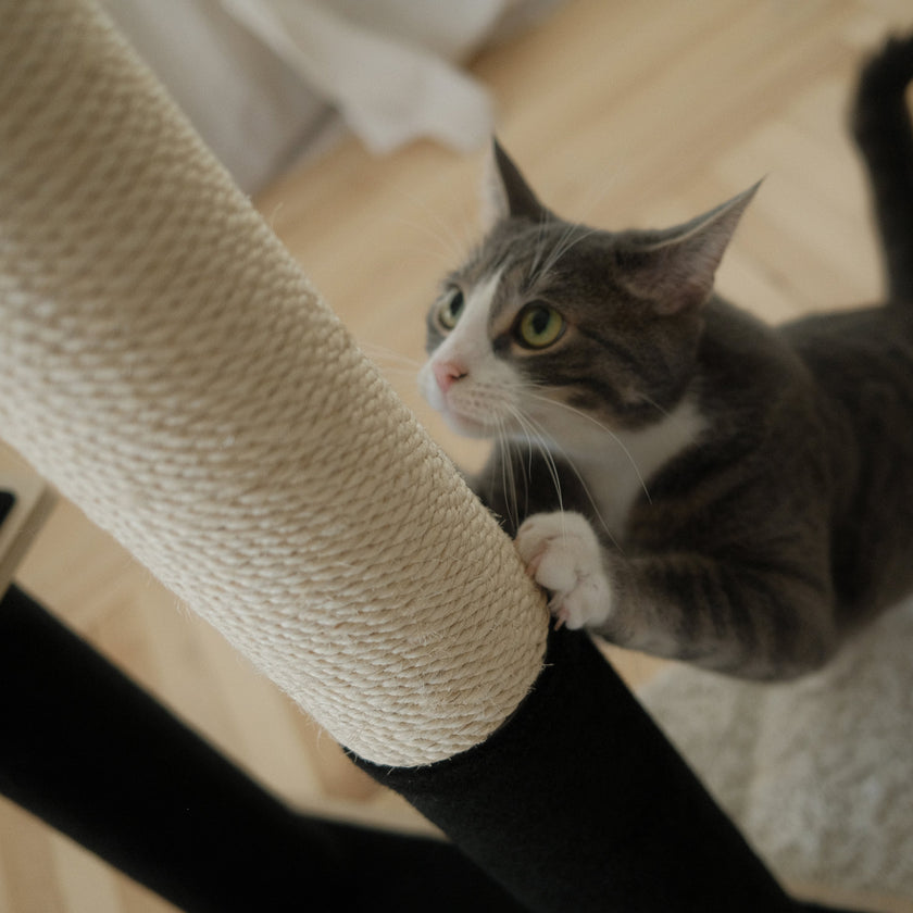 Noba Modern Plywood 2-Level Cat Tree