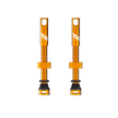 Tubeless Valves