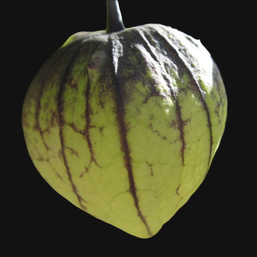 Tomatillo Mix