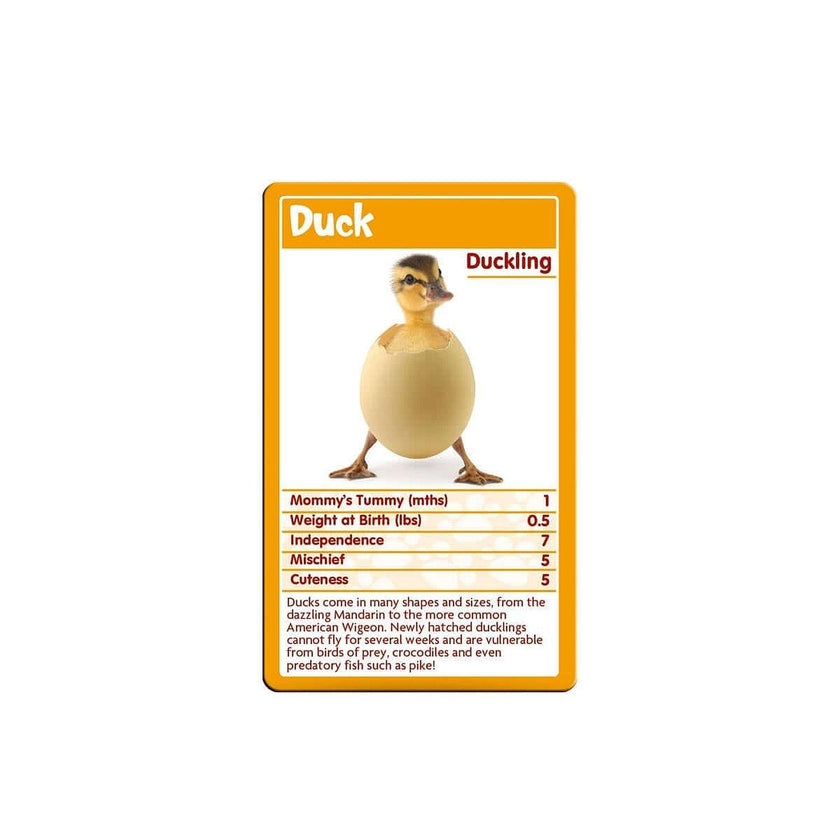 Top Trumps - Baby Animals
