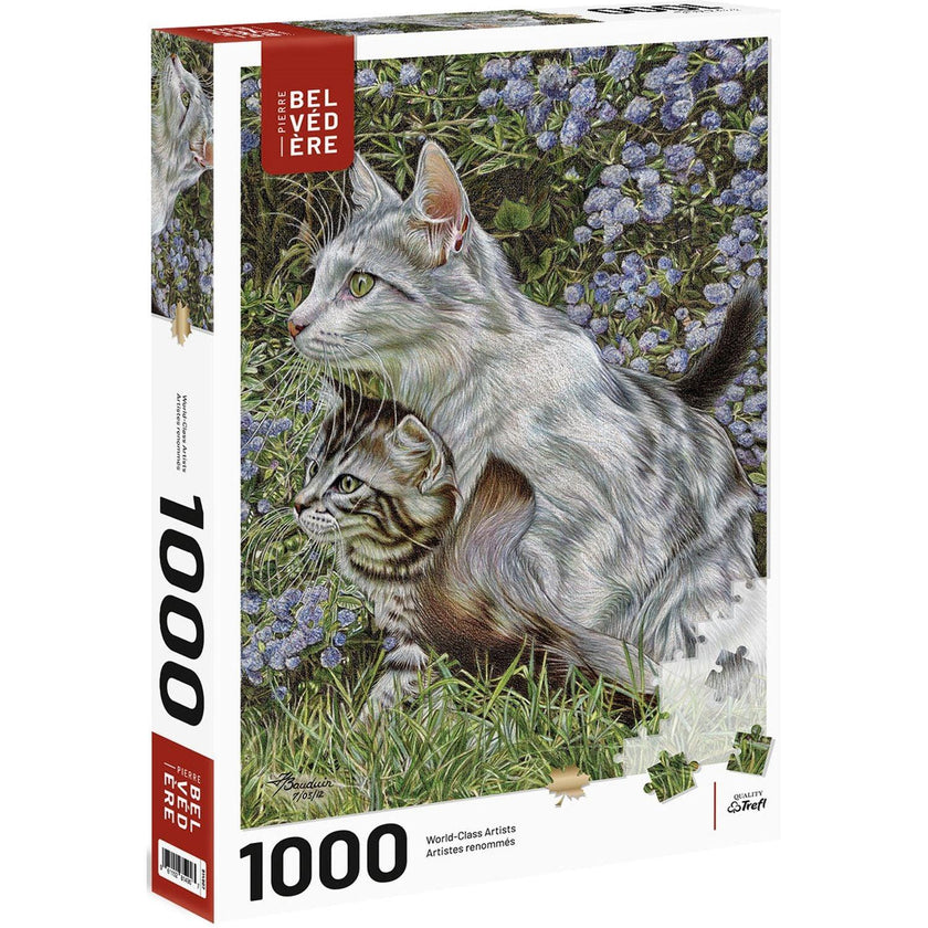 Trefl - Complicity (1000-Piece Puzzle)