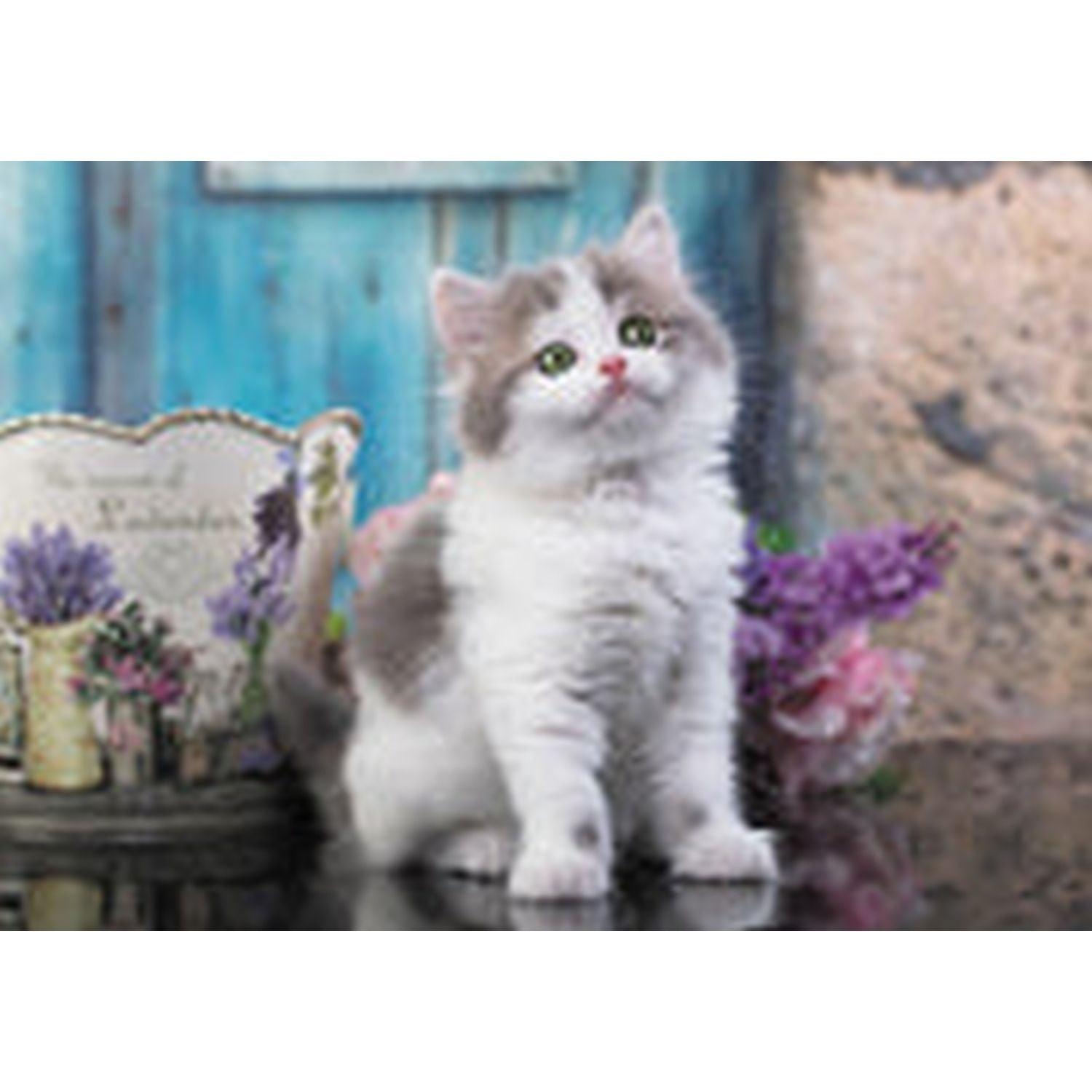 Trefl - Curious Kitten (1000-Piece Puzzle)
