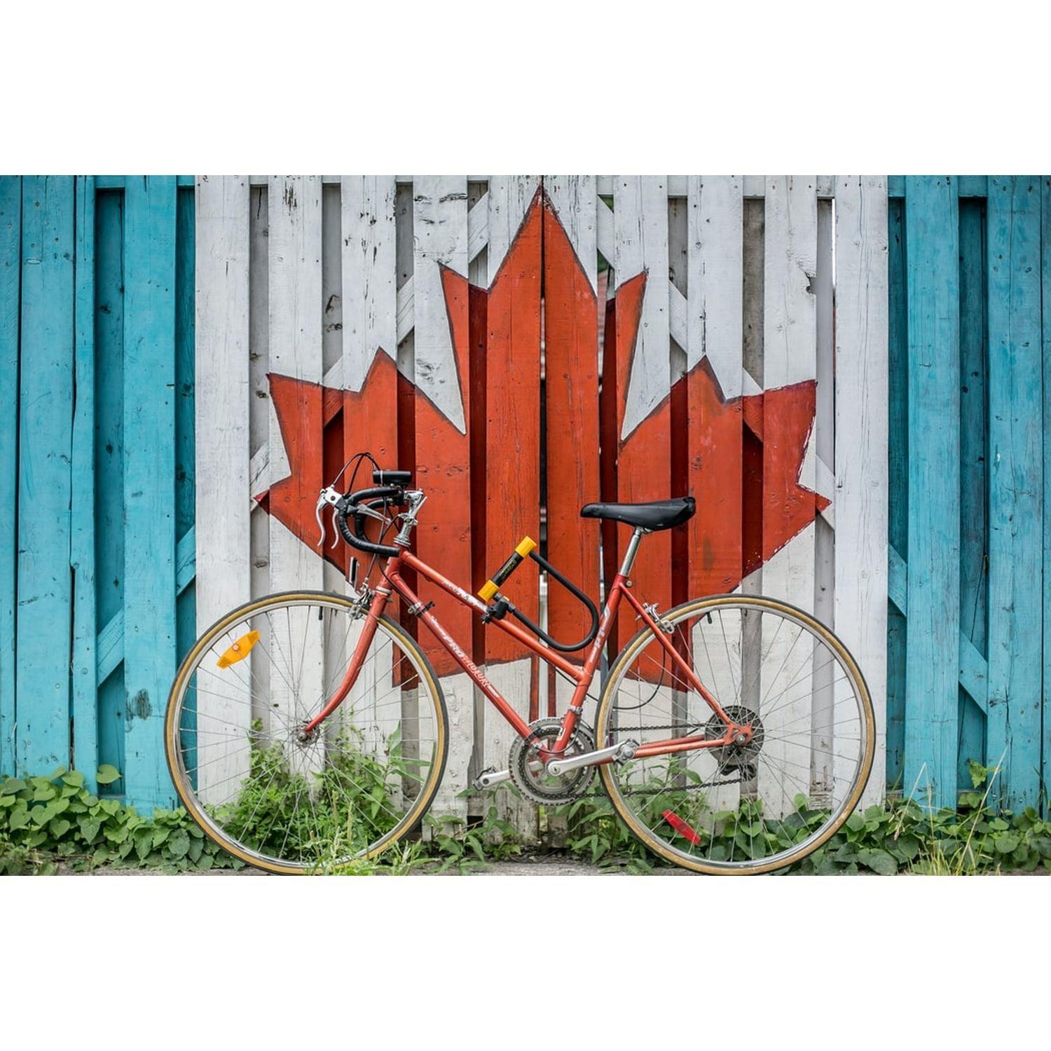 Trefl - Cycling Canada (500-Piece Puzzle)