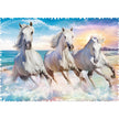 Trefl - Galop parmi les vagues (Jigsaw Puzzle 600 pièces)