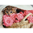 Trefl - Romantic Cat (500-Piece Puzzle)
