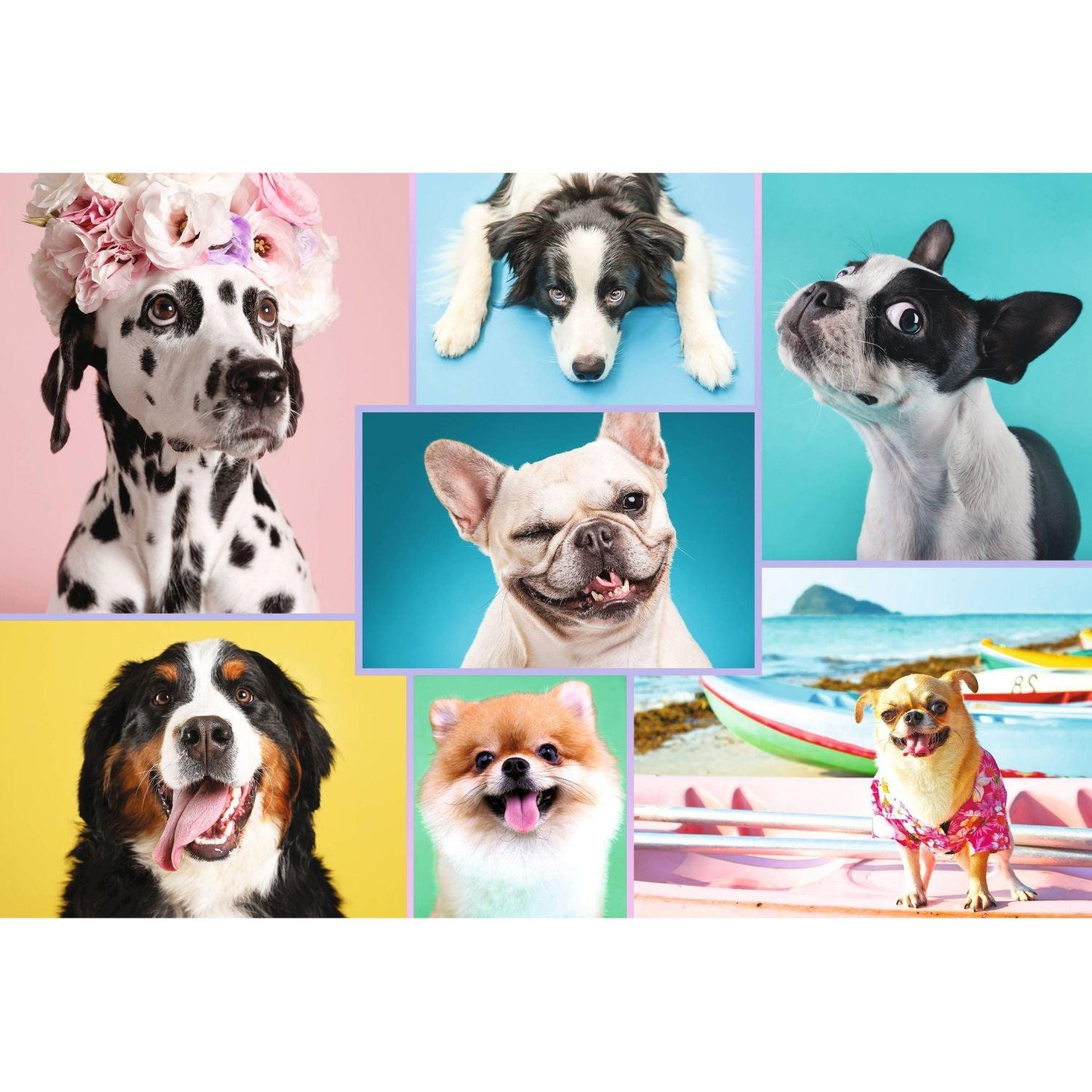 Trefl - Sweet Dogs (1500-Piece Puzzle)