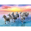 Trefl - White Horsesin Galop (500-Piece Puzzle)