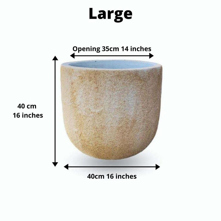 Trevi Cement Planter (Multiple Sizes)