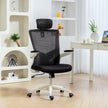 Andre Ergonomic Office Chair with 2D Lumbar Support and adjustable Headrest-Black/White