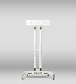 Two Way+ Stand