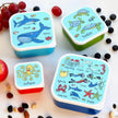 Tyrrell Katz - Snack Boxes 4/St Ocean