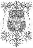 Creative Expressions Designer Boutique Collection Owl Be There For Twit Twoo A6 Clear Stamp Set