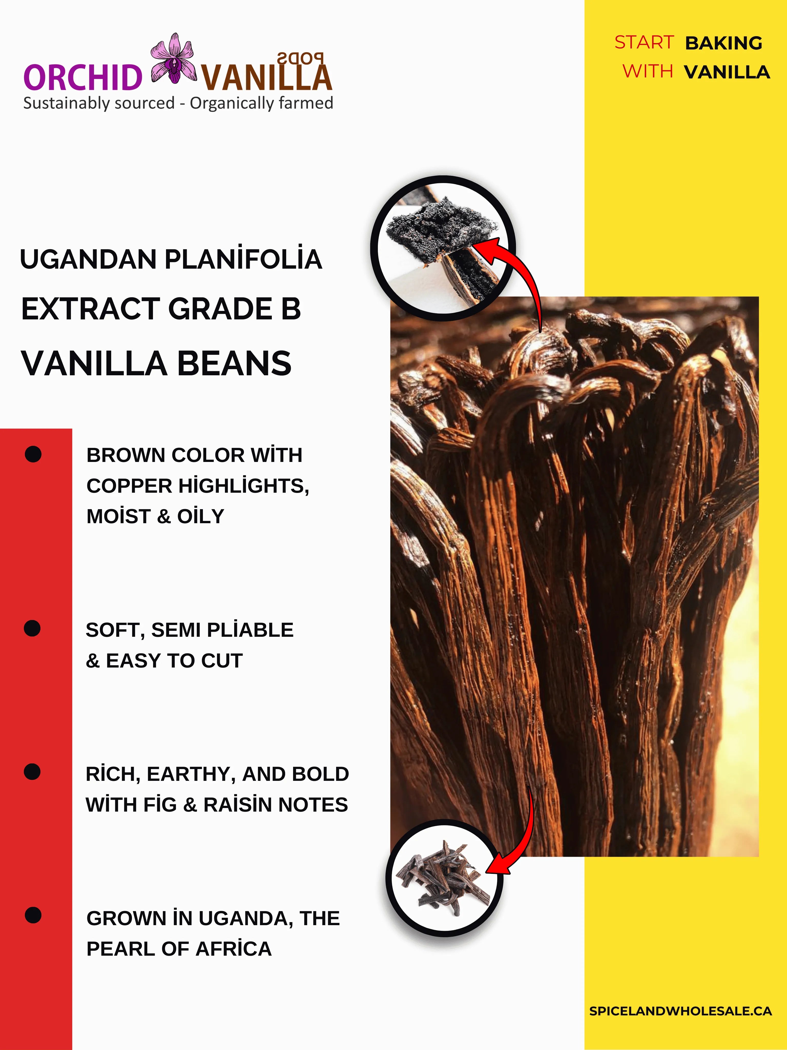 Ugandan Extract Vanilla Beans Grade-B <br>For Extract Making<BR>By Pound