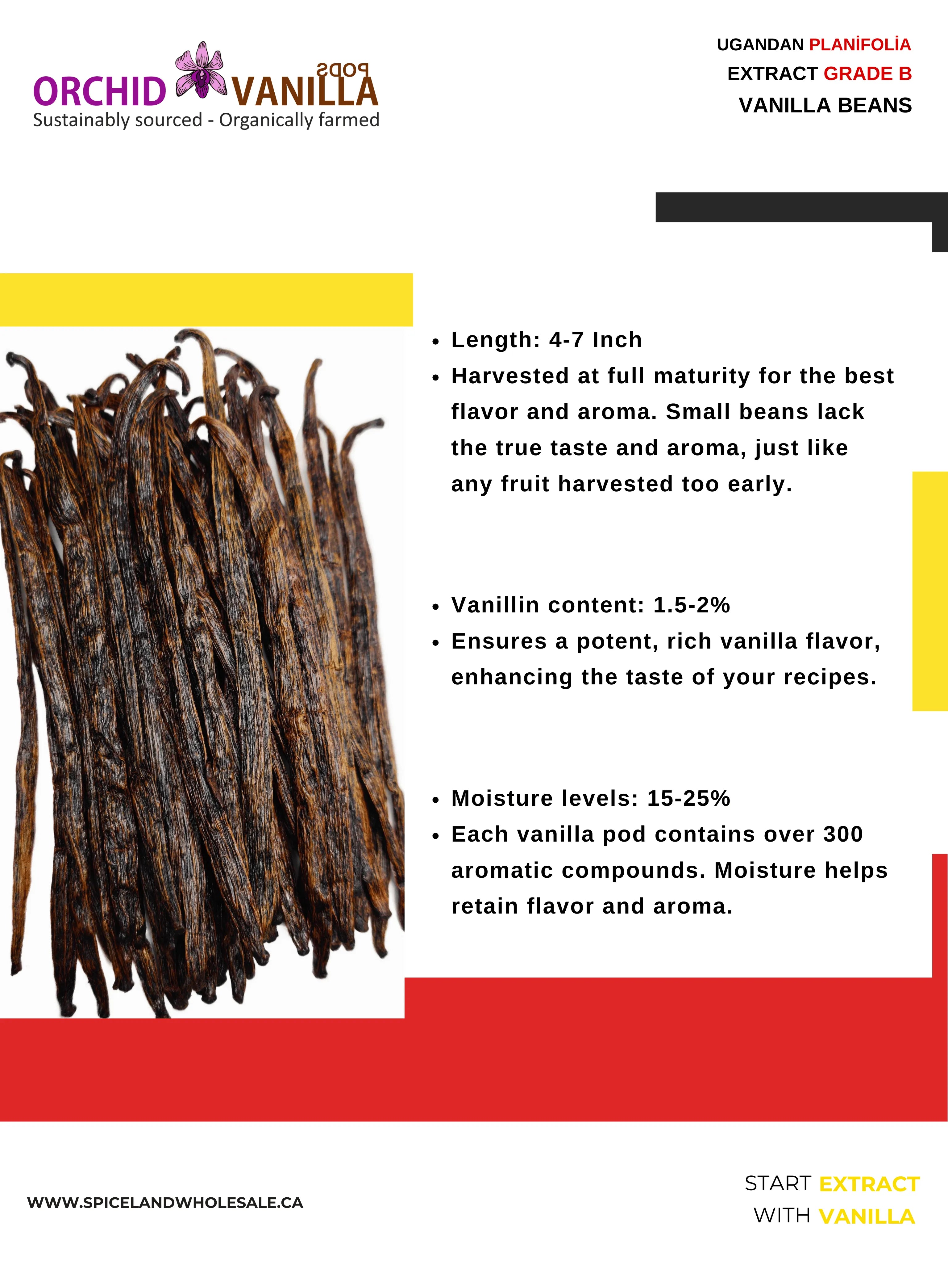 Ugandan Extract Vanilla Beans Grade-B <br>For Extract Making<BR>By Pound