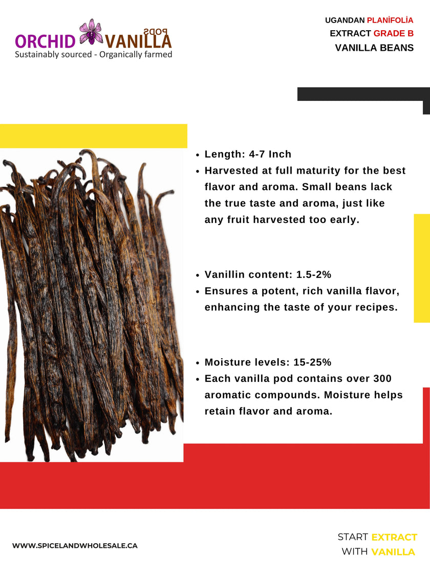 Ugandan Extract Vanilla Beans Grade-B <br>For Extract Making<BR>By Pound