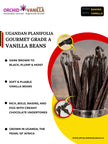 Ugandan Vanilla Beans Grade-A Gourmet <br>For Extract And Baking<BR>By Ounce