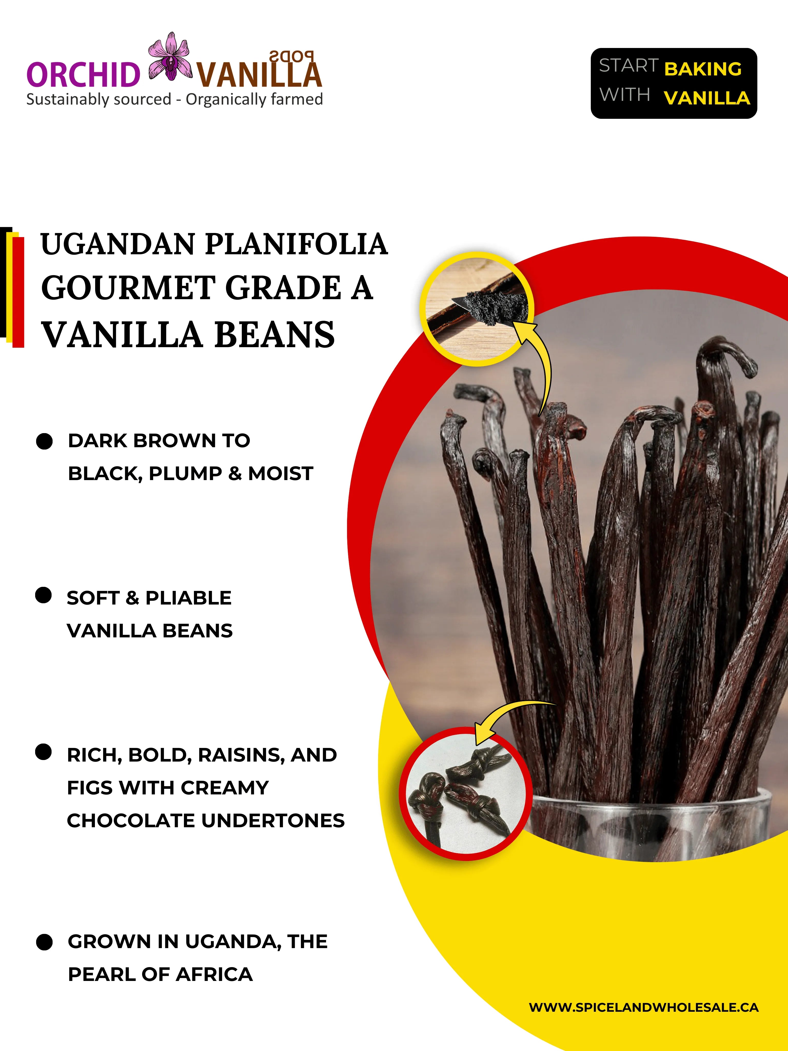 Ugandan Vanilla Beans Grade-A Gourmet <br>For Extract And Baking<BR>By Ounce