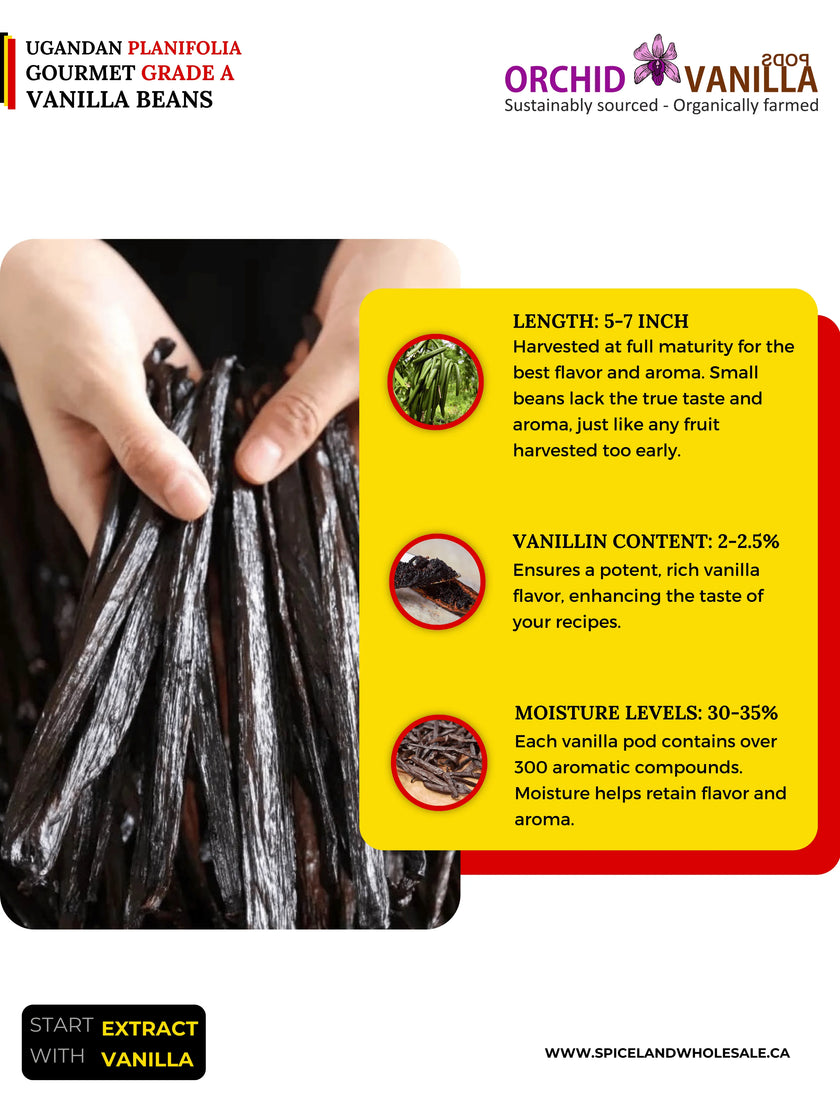 Ugandan Vanilla Beans Grade-A Gourmet <br>For Extract And Baking<BR>By Pound