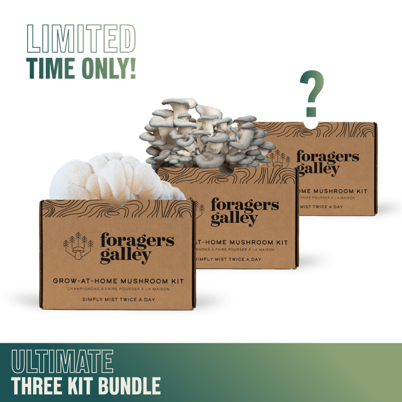 Ultimate Grower's Bundle — Three Kits