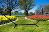 Universal Hammock Stand for Non Spreader Bar Hammocks