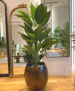 Belen Artificial Anthurium Leaf Potted Plant (Multiple Sizes)