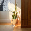 Rafa- Water Hyacinth Natural Round Floor Planter