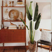 Luca Artificial Bird Of Paradise Potted Plant (Multiple Sizes)