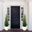 Hampton Faux Potted Cedar Topiary Plant (Multiple Sizes)