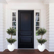 Sandy Potted Boxwood Topiary Plant 4.3'