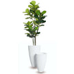 Lazio White Cement Planter (Multiple Sizes)
