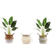 Lola Artificial Bird Of Paradise Potted Plant 3'