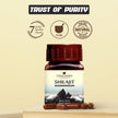 Upakarma Ayurveda 100% Pure Shilajit 90 Capsules
