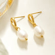 VARKONY Gold : Élégantes petites boucles d'oreilles en forme de goutte d'eau avec des perles d'eau douce brillantes.