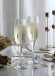 Champagne Glasses 8 Oz - LAV VENUE - Set of 6