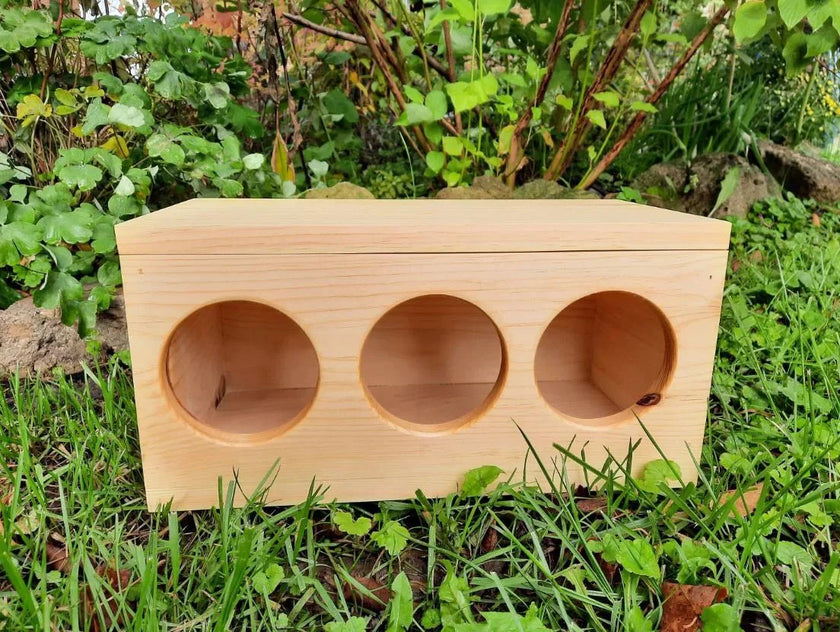 Boîte à foin pour lapins et cochons d'Inde