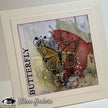 Visible Image Antisocial Butterfly - A6 Stamp Set
