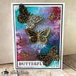 Visible Image Antisocial Butterfly Co-ordinating Dies