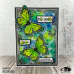 Visible Image Butterfly Effect - A5 Stamp Set