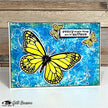 Visible Image Butterfly Effect Co-ordinating Dies