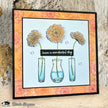 Visible Image Birthday In Bloom Co-ordinating Dies