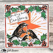 Visible Image Christmas Robin - A6 Stamp Set
