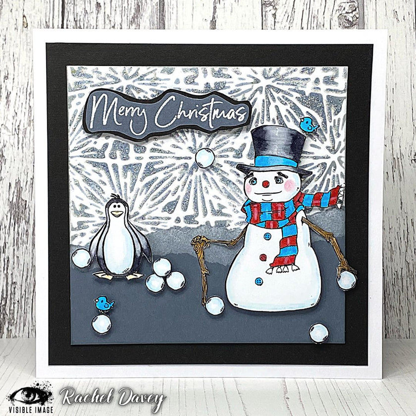 Visible Image Frosty Stencil - 6 x 6