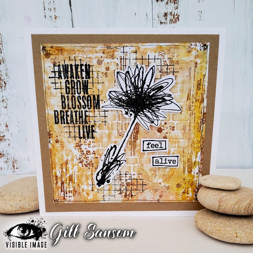 Visible Image Transmission Glitch - A6 Stamp Set