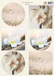 Marianne Design A4 Cutting Sheet - Condolence - Orchid